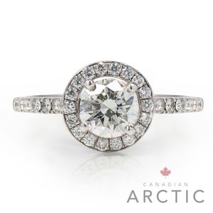 Preview image of Platinum 0.70ct Canadian Arctic Round Brilliant Halo With Diamond Set Shoulders 