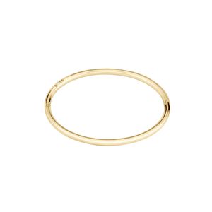 Preview image of Boss Live Gold-Plated Bangle 