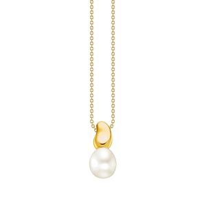 Preview image of Thomas Sabo Freshwater Pearl Gold Plated Drop Necklace