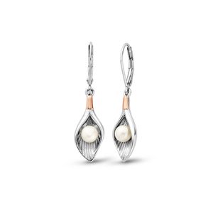 Preview image of Clogau Beachcomber Silver Shell Drop Earrings