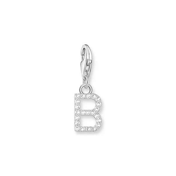 Thomas Sabo CZ Letter D Charm main image 1