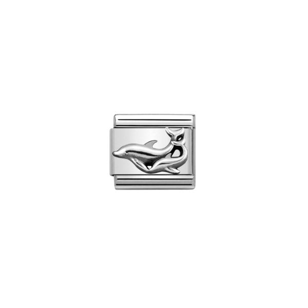 Dolphin nomination charm online